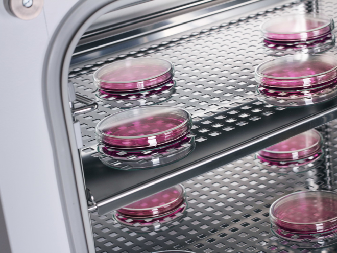 Фотогалерея CO2CELL
